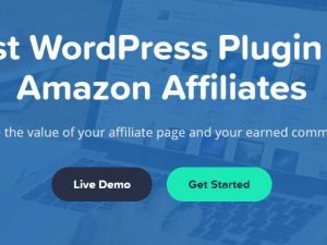 AAWP WordPress Plugin Free Download v3.30.1 [AAWP Key]