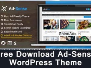 ad sense wordpress theme v1 4 4 free download gpl 1