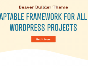 Beaver Builder Theme Free Download v1.7.13[WP Framework]