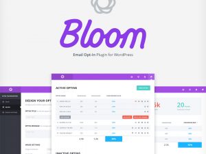 Bloom Email Opt-In Plugin v1.3.12 Free Download [GPL]