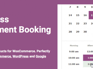 BookingWP Appointments Plugin 4.16.1 Free Download [GPL]