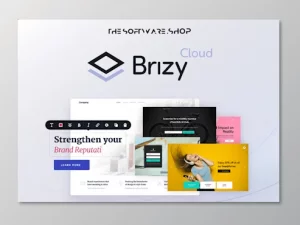 Brizy Pro Page Builder Free Download [v2.4.19]