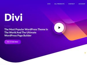 Divi Theme Free Download With Divi Theme API Key[v4.21.0]