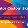 elementor custom skin pro v3 24 free download gpl 1