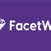 facetwp plugin free download v4 2 1 2