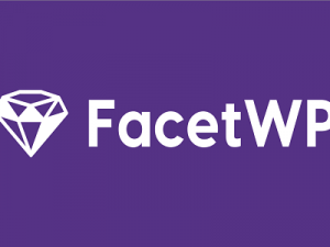 FacetWP Plugin Free Download [v4.2.1]