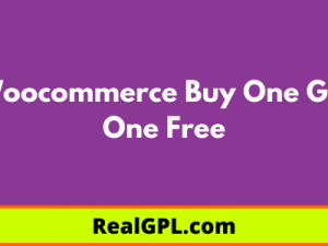 Free Download Buy One Get One Free WooCommerce Extension v3.9.2