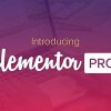 free download elementor pro v3 13 2 pro templates 2