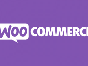 Free Download Product Video for WooCommerce v1.5.1