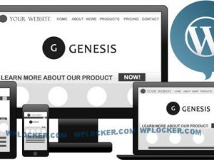 Genesis Framework v3.3.4 and Genesis All Child Themes Free Download