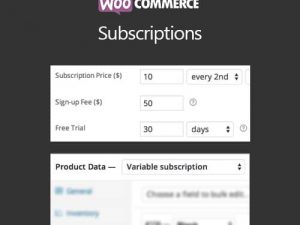 [GPL] Free Download All Products For Subscriptions WooCommerce Extension v4.0.6