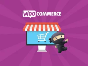 [GPL] Free Download Groups Extension for WooCommerce v1.35.1