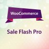 gpl free download sale flash pro woocommerce extension v1 2 20 1