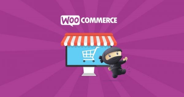 gpl free download woocommerce chase paymentech gateway extension v1 16 1 1