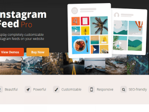 Instagram Feed Pro Free Download v6.2.4 [Smash Balloon]