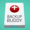 ithemes backupbuddy plugin free download v8 8 3 2