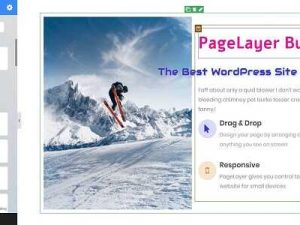 Pagelayer Pro v1.5.9 Free Download [GPL]