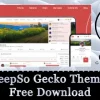 peepso gecko theme free download v6 1 3 0