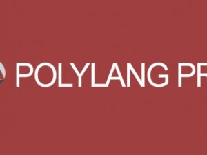 Polylang Pro Free Download [v3.4.2]