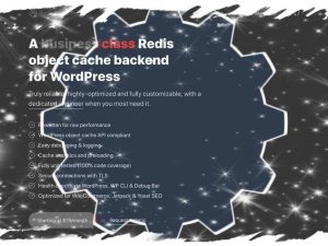 Redis Cache Pro v1.17.0 Free Download [GPL]