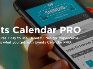 The Events Calendar Pro Free Download v6.0.11