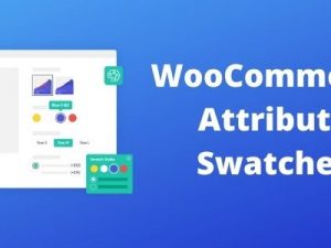 WooCommerce Attribute Swatches Free Download v1.14.2 [IconicWP]