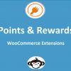 woocommerce points and rewards extension free download v1 7 33 2