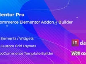 WooLentor Pro Free Download [v2.2.0]