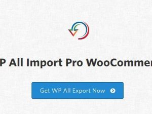 WP All Import Pro WooCommerce Addon v3.3.4 Free Download [GPL]