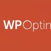 wp optimize premium plugin free download v3 2 15 2