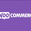 Product Video For WooCommerce Nulled Free Download