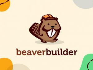 Beaver Builder PRO (Agency) (v2.8.0.7) + Theme v1.7.15.3