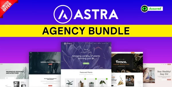 Astra Pro With Original License Key 1.webp