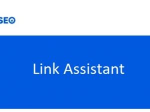 AIOSEO v1.1.4 Link Assistant