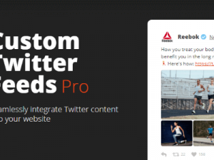 Custom Twitter Feeds Pro v2.4.2