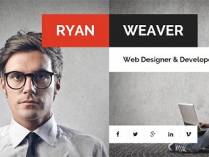 Divergent (v3.0.0) Personal Vcard Resume WordPress Theme