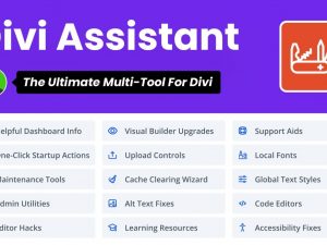 Divi Assistant v1.3.1