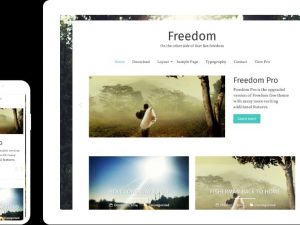 Freedom Pro v2.2.1 Photography WordPress Theme