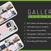 Gallery Showcase Pro for WordPress v1.0.2