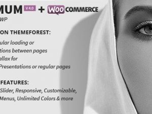 MINIMUM (v4.1) Professional WordPress Theme