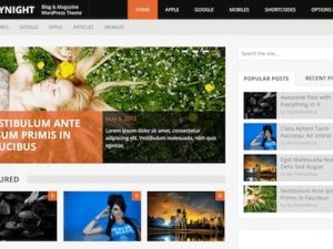 MyThemeShop Daynight WordPress Theme v1.1.1