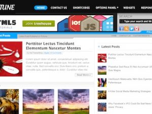 MyThemeShop Fortune WordPress Theme v1.1.0