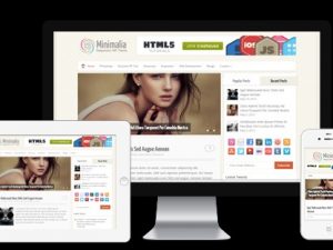 MyThemeShop Minimalia WordPress Theme v1.3.1