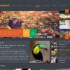 MyThemeShop Monospace WordPress Theme v1.2.3