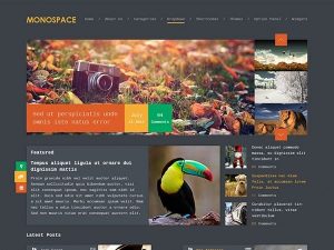 MyThemeShop Monospace WordPress Theme v1.2.3