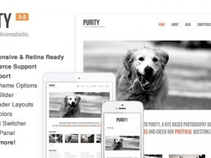 Purity (v4.5.1) Responsive, Minimal & Bold WP Theme