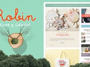 Robin v7.0.8 Cute & Colorful Blog Theme