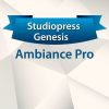 StudioPress Ambiance Pro (v1.1.4) Genesis WordPress Theme