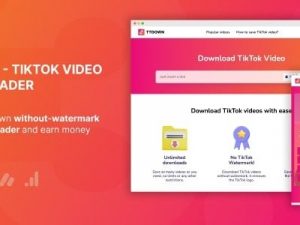 TikTok Video Downloader (v3.0.7) Without Watermark & ​​Music Extractor