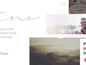 Vino (v1.9) A Refined Winery, Wine Bar and Vineyard Theme